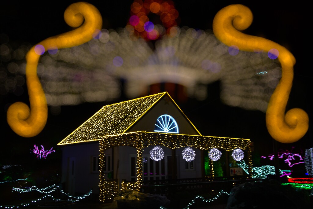 イルミネーション - ①