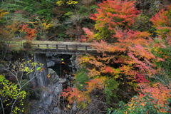 山道の紅葉 - ①