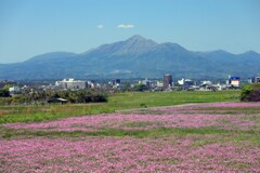 霧島春夏秋冬 (後久地区)