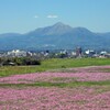 霧島春夏秋冬 (後久地区)