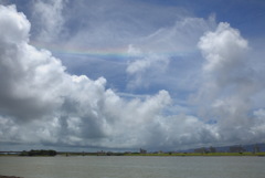 夏の雲 - ②