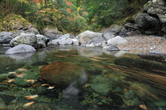 水中で踊る木の葉 - ②