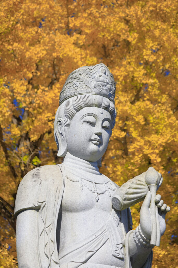 興聖寺の像と銀杏 - ①