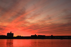 アートな夕雲 - ⑧