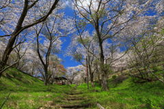花立山 - ⑥