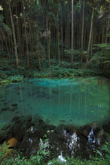 陣の池 (小池) - ①