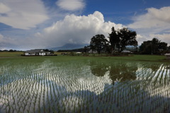 梅雨空と晴れ間 -  ②