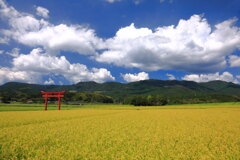 鳥居の秋  - ③