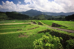 坂元棚田 - ①