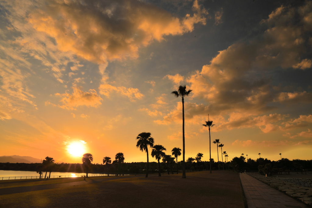 臨海公園の夕暮れ - ①