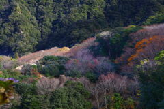 晩秋の峠 - ①