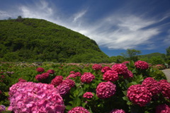 桃源郷 (遠見半島) - ⑥