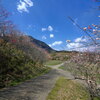 花桃咲く山里 - ⑥