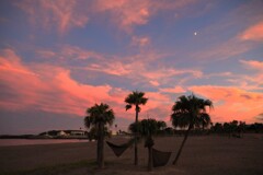 椰子の夕暮れ - ①