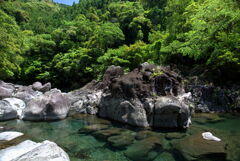 深緑の清流 (名貫川)