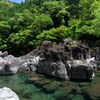 深緑の清流 (名貫川)