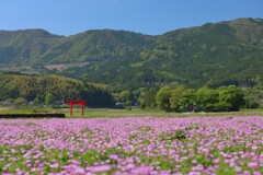 菅原神社 (遠景) - ③