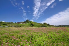 蓮華 (大脇地区) 