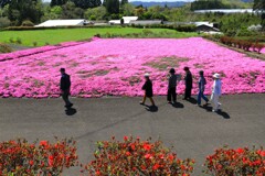春の一里山 - ②