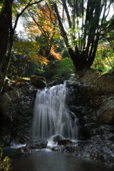 深い森の沢 - ①