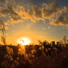 新別府川の夕暮れ - ①