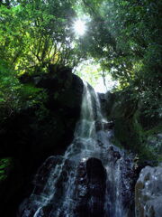 山奥の流れ