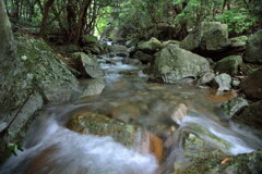 行縢渓谷 - ④