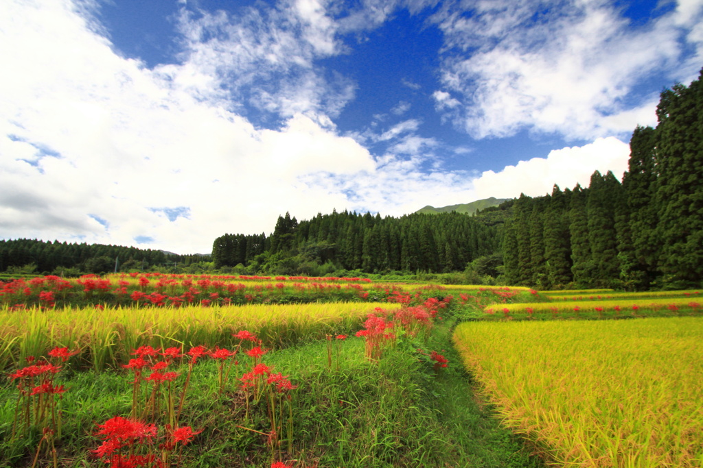 秋の山里 - ①