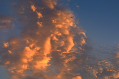 雲のドラマ (旅客機) 雲のドラマ (旅客機)
