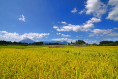 霧島春夏秋冬 (秋の盆地) - ②