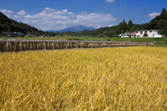 霧島春夏秋冬 (掛け干し) - ④