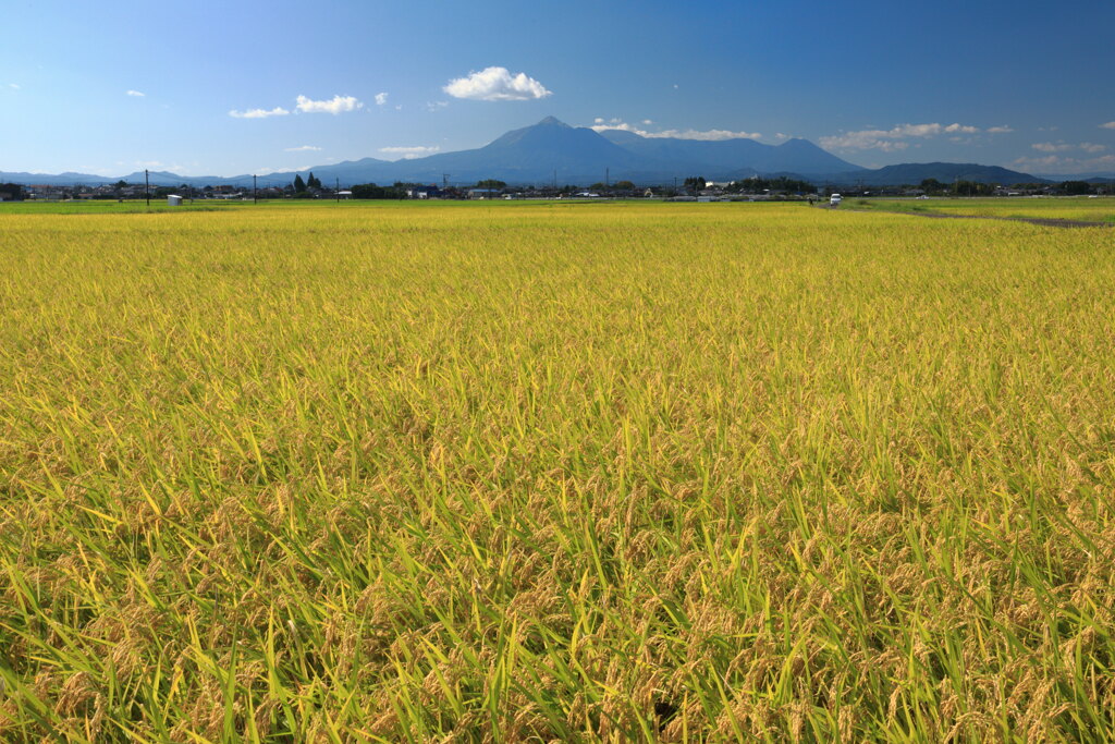 霧島春夏秋冬(秋模様) - ③