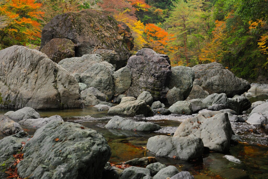 紅葉の渓流 - ②