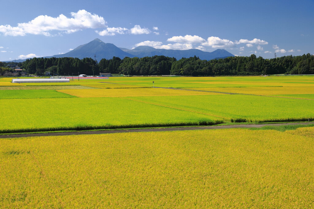 霧島春夏秋冬(秋模様) - ②