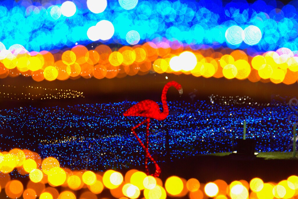 イルミネーション - ②