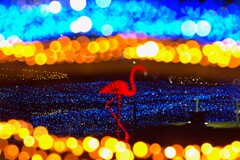 イルミネーション - ②