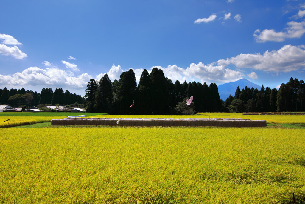 霧島春夏秋冬 (秋の盆地) - ③