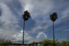夏雲 (二つの季節)
