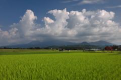 霧島春夏秋冬 (夏) - ②