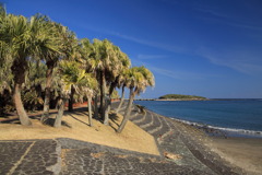 青島