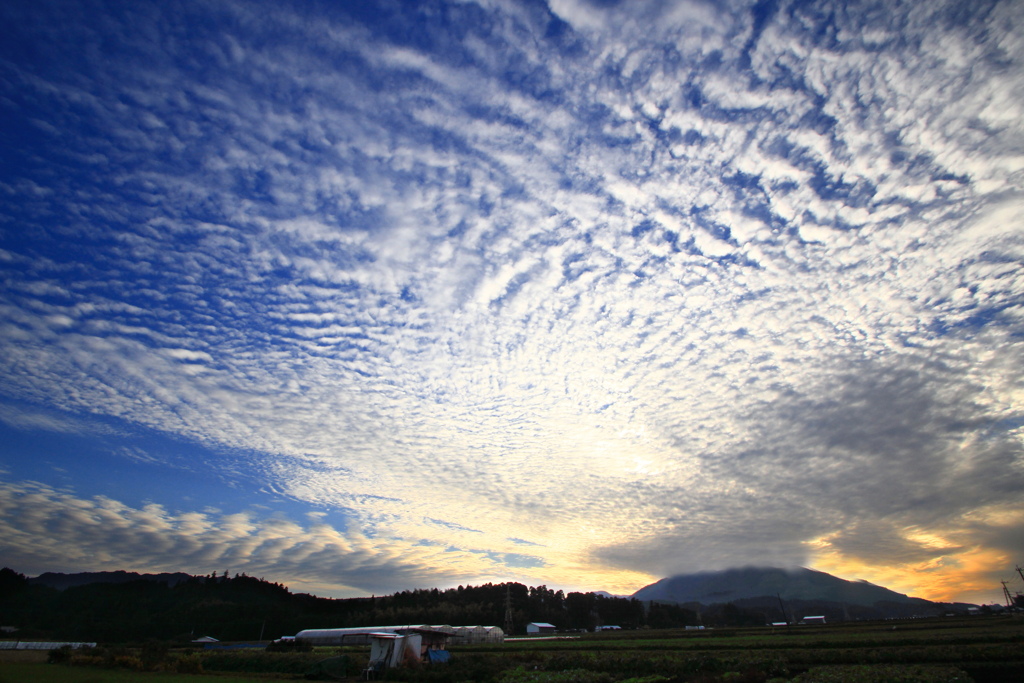 高積雲 (鰯雲) - ③