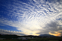 高積雲 (鰯雲) - ③