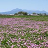 霧島春夏秋冬 (蓼池地区)