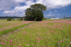 地蔵堂  - ② 地蔵堂  - ②