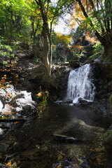 深い森の沢 - ②