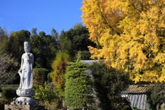 興聖寺の像と銀杏 - ②