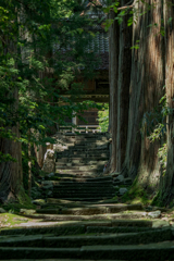 なにかのロケ地