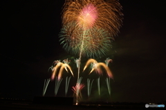 24 京都芸術花火#09