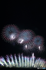 24 神明の花火#5