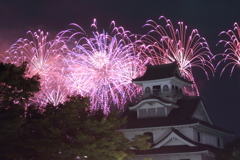24 長浜・北びわ湖大花火大会#1
